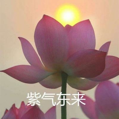 游戏租号玩APP下载